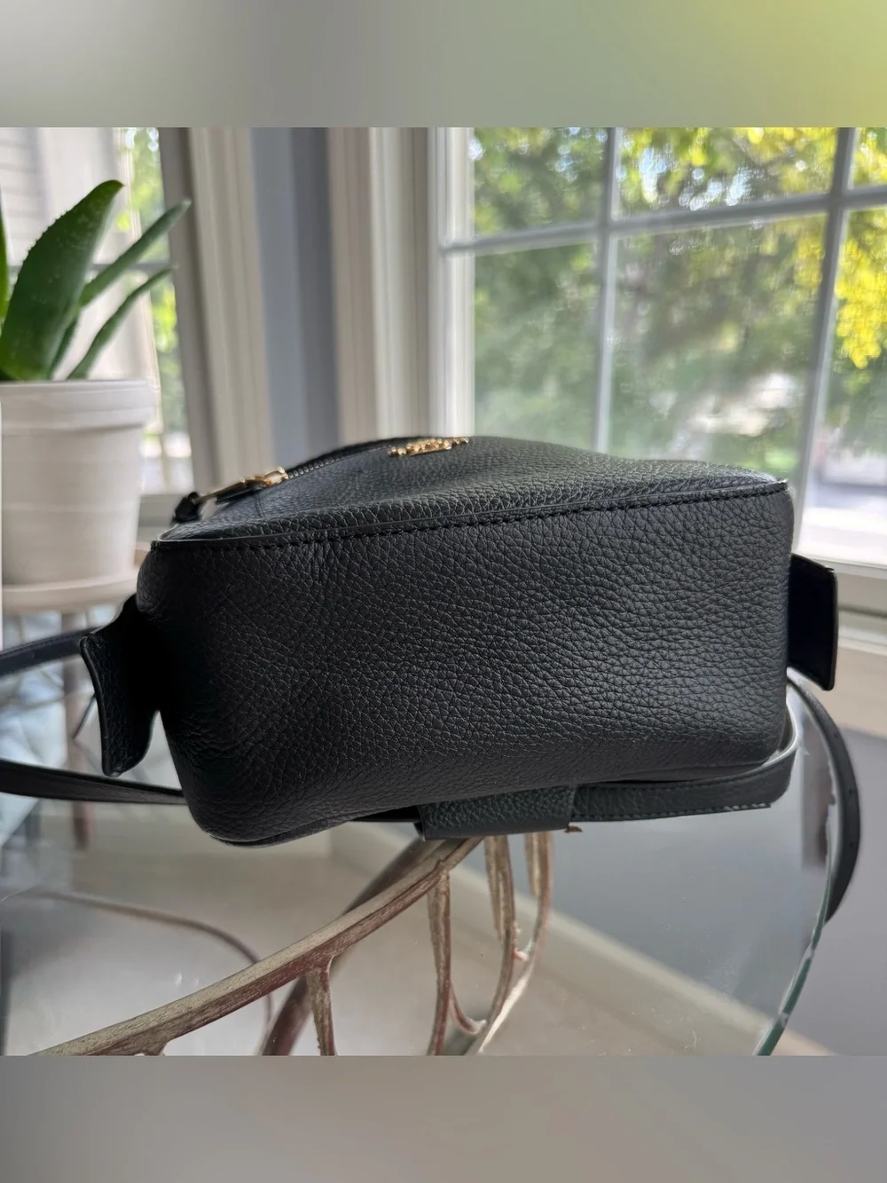 NWT Coach Andi Pebbled Leather Backpack Black Gold Hardware